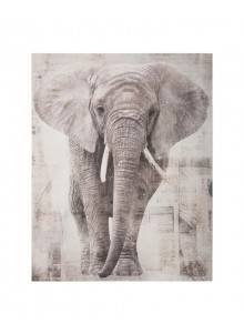Tablou canvas Elefant,...